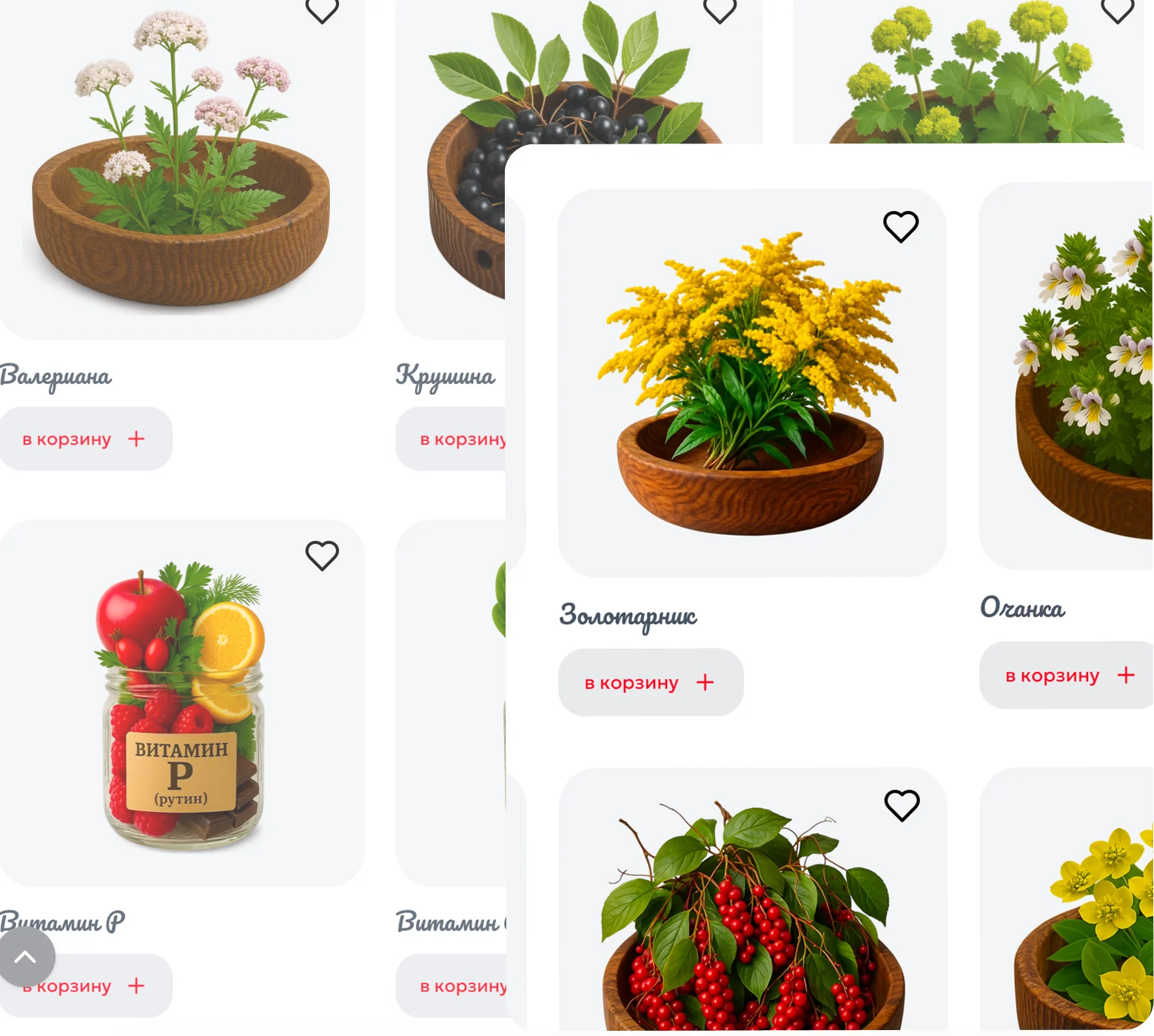 Витамины и нутриенты